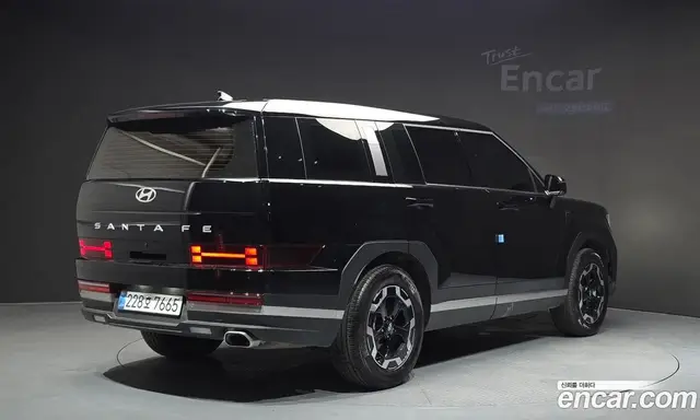 Hyundai Santa Fe 2025 2.5 автомат (гидро), миниатюра 2