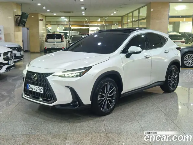 Lexus NX, 2024, 42 601 км