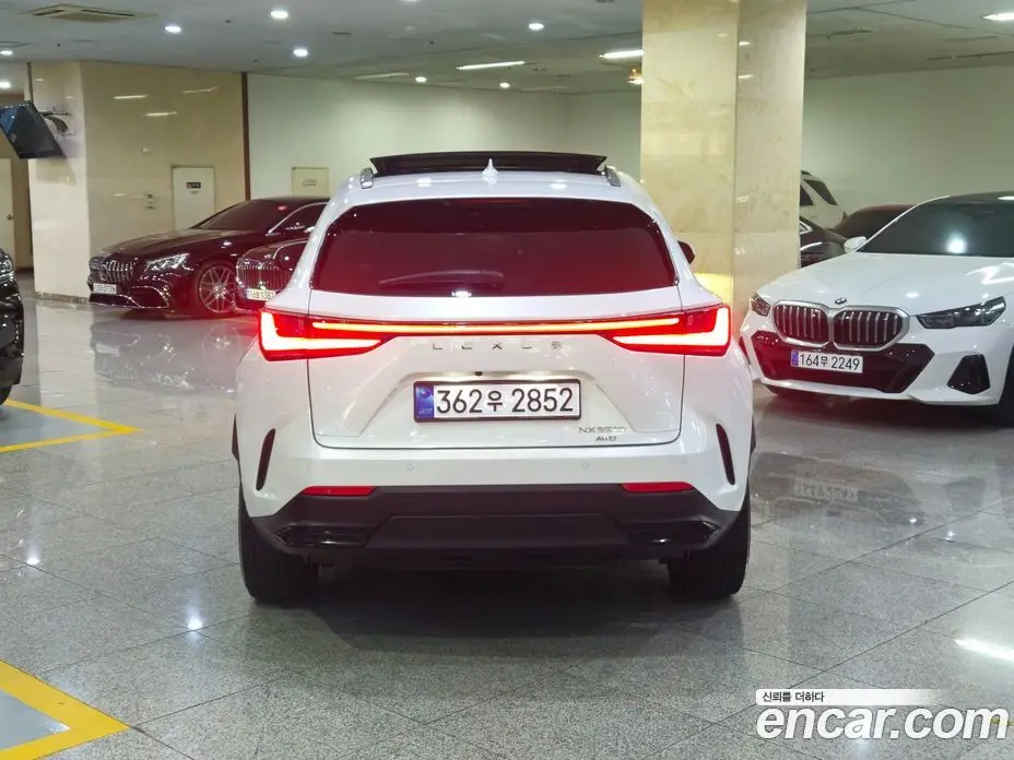 Lexus NX 2024 2.5 автомат (гидро), фото 3 Lexus NX 2024 2.5 автомат (гидро), фото 3