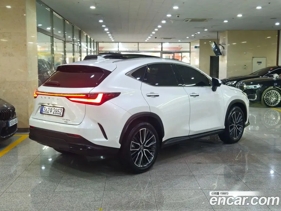 Lexus NX 2024 2.5 автомат (гидро), фото 4 Lexus NX 2024 2.5 автомат (гидро), фото 4