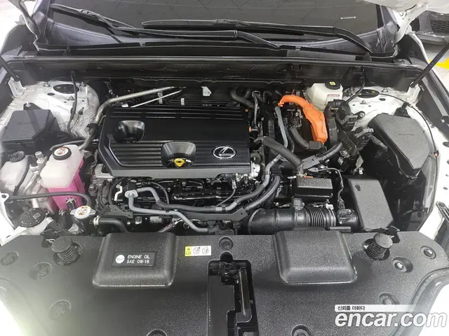 Lexus NX 2024 2.5 автомат (гидро), миниатюра 6 Lexus NX 2024 2.5 автомат (гидро), миниатюра 6