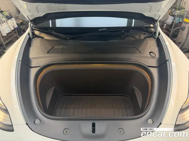 Tesla Model Y 2021 0.3 автомат (гидро), миниатюра 6