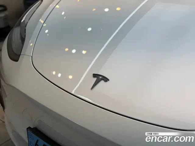 Tesla Model Y 2021 0.3 автомат (гидро), миниатюра 9