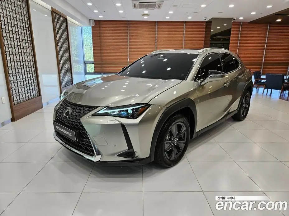 Lexus UX 2025 2.0 автомат (вариатор), фото 1 Lexus UX 2025 2.0 автомат (вариатор), фото 1
