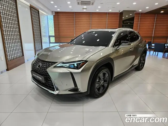 Lexus UX, 2025, 8 934 км