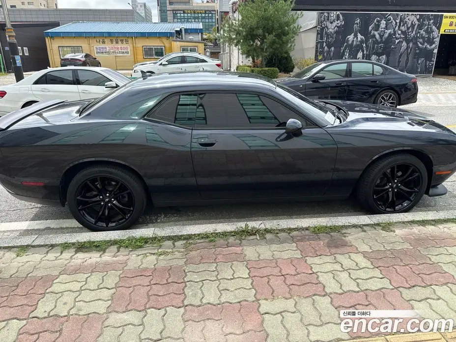Dodge Challenger 2017 3.6 автомат (гидро), фото 4