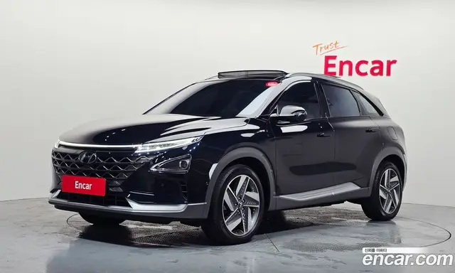 Hyundai Nexo, 2024, 19 916 км