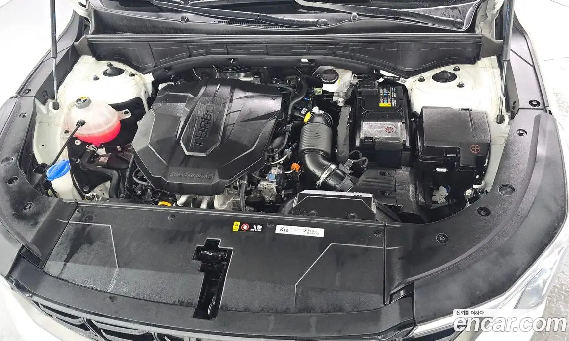 Kia Sorento 2024 2.2 автомат (гидро), фото 6