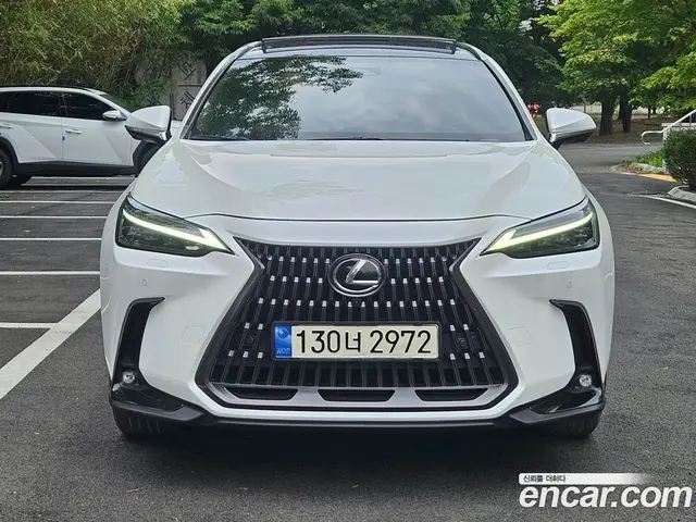 Lexus NX, 2023, 50 526 км