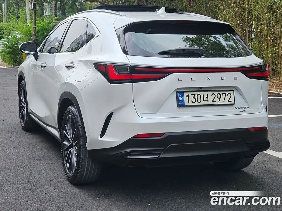 Lexus NX 2023 2.5 автомат (гидро), фото 6