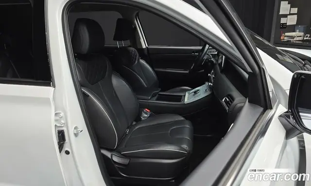 Hyundai Palisade 2021 3.8 автомат (гидро), миниатюра 12