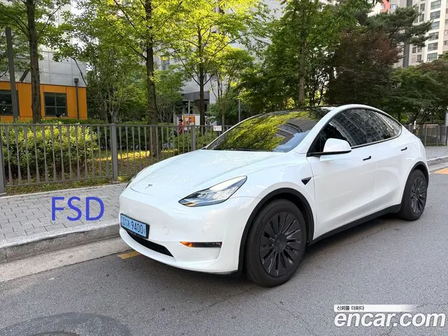 Tesla Model Y, 2022, 50 273 км