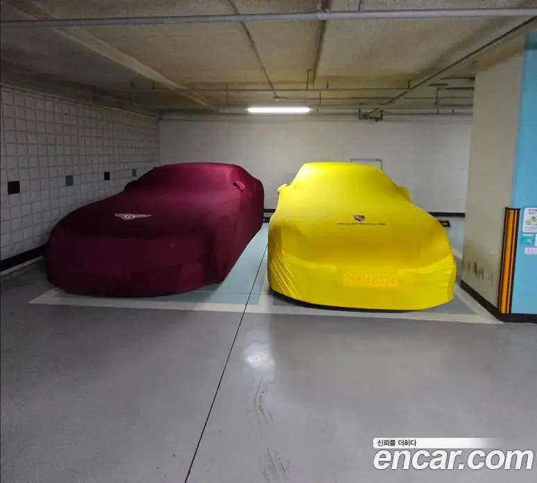 Bentley Continental 2019 6.0 автомат (гидро), фото 17 Bentley Continental 2019 6.0 автомат (гидро), фото 17