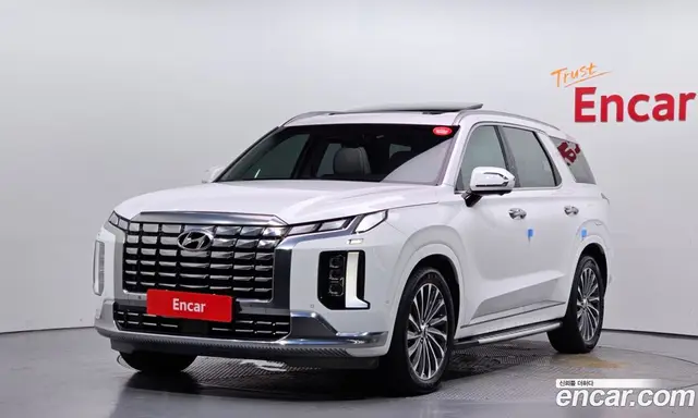 Hyundai Palisade, 2023, 25 740 км