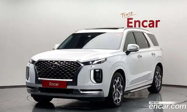 Hyundai Palisade, 2020, 49 320 км