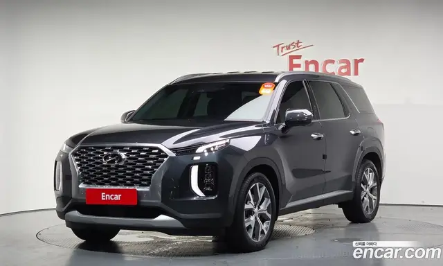 Hyundai Palisade, 2020, 49 131 км
