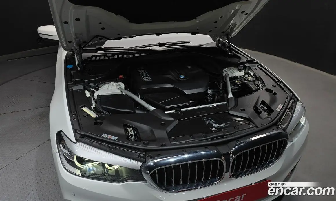 BMW 5 серия 2019 2.0 автомат (гидро), фото 6