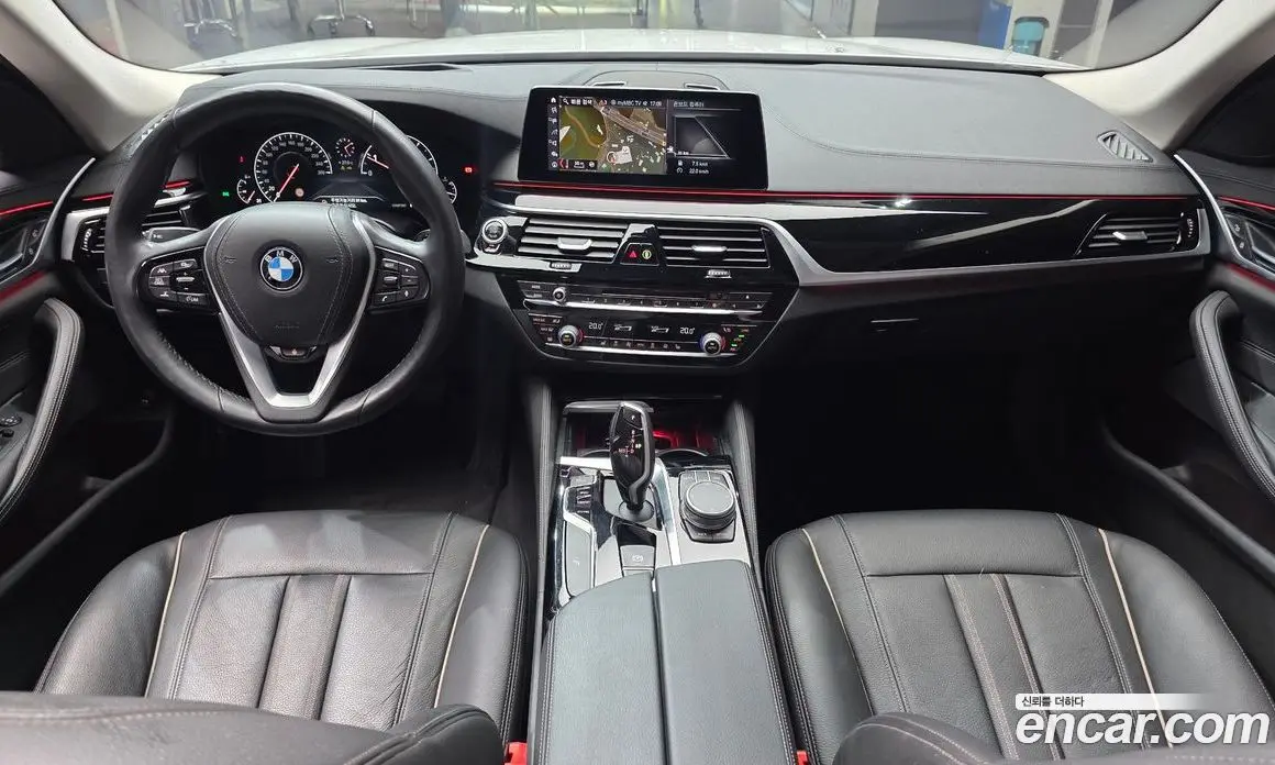 BMW 5 серия 2019 2.0 автомат (гидро), фото 10
