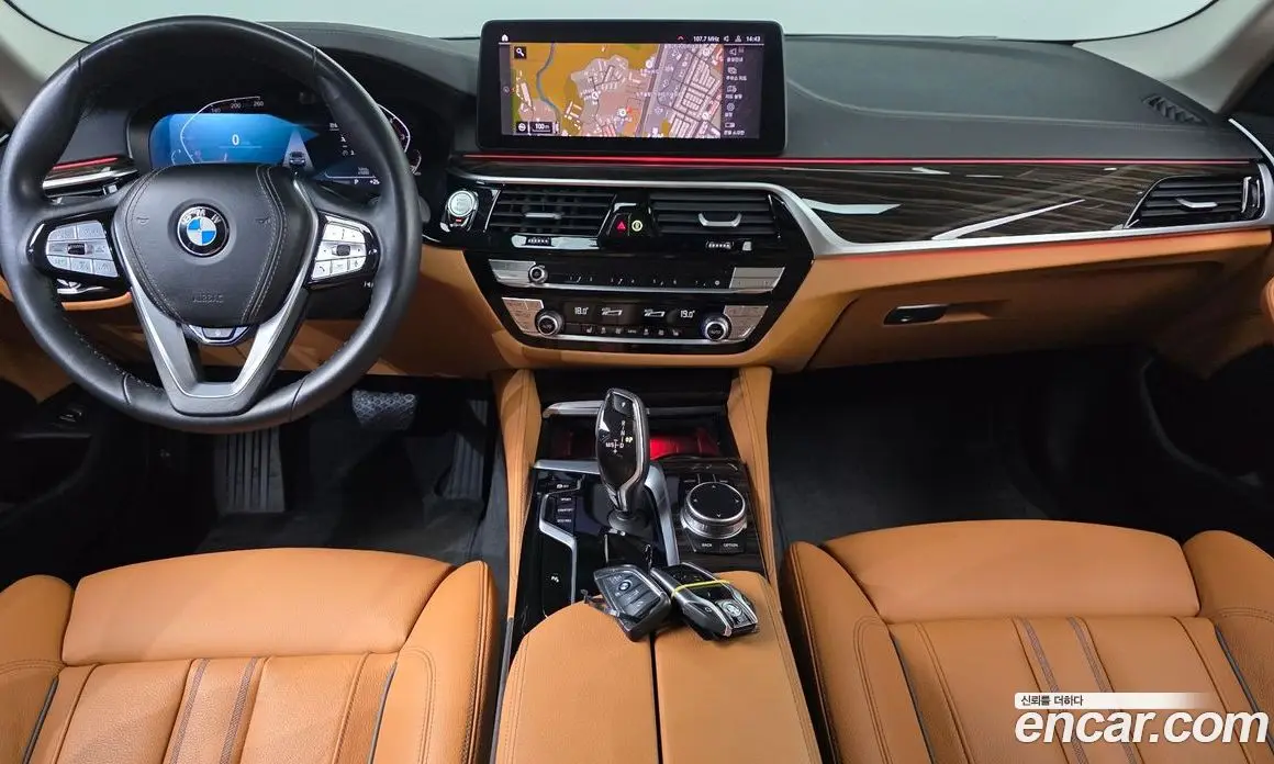 BMW 5 серия 2022 2.0 автомат (гидро), фото 10 BMW 5 серия 2022 2.0 автомат (гидро), фото 10