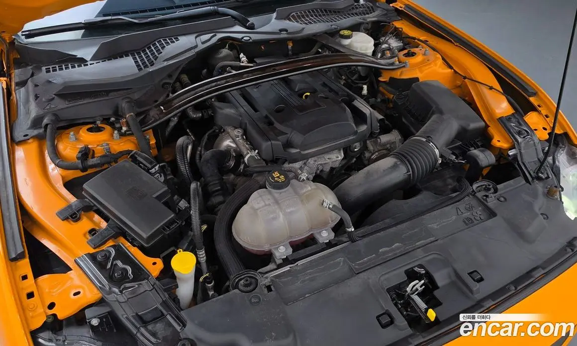 Ford Mustang 2019 2.3 автомат (гидро), фото 6 Ford Mustang 2019 2.3 автомат (гидро), фото 6