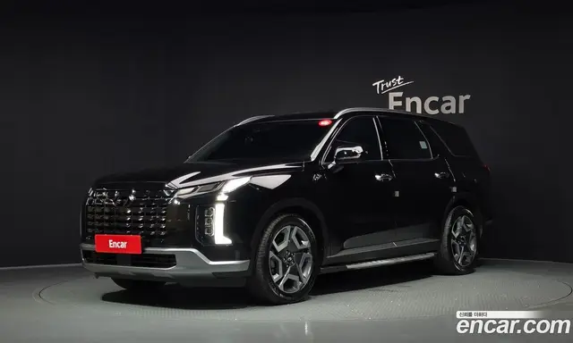 Hyundai Palisade, 2023, 34 115 км