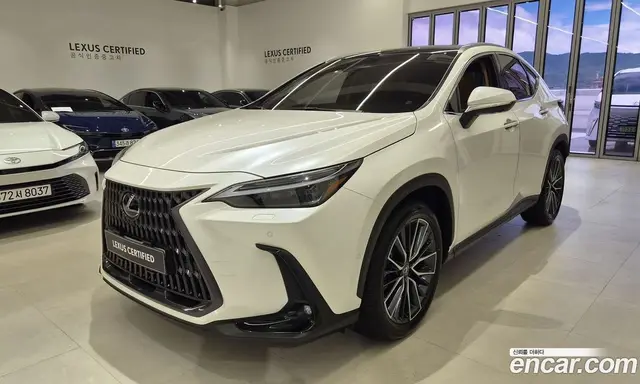 Lexus NX, 2025, 3 924 км