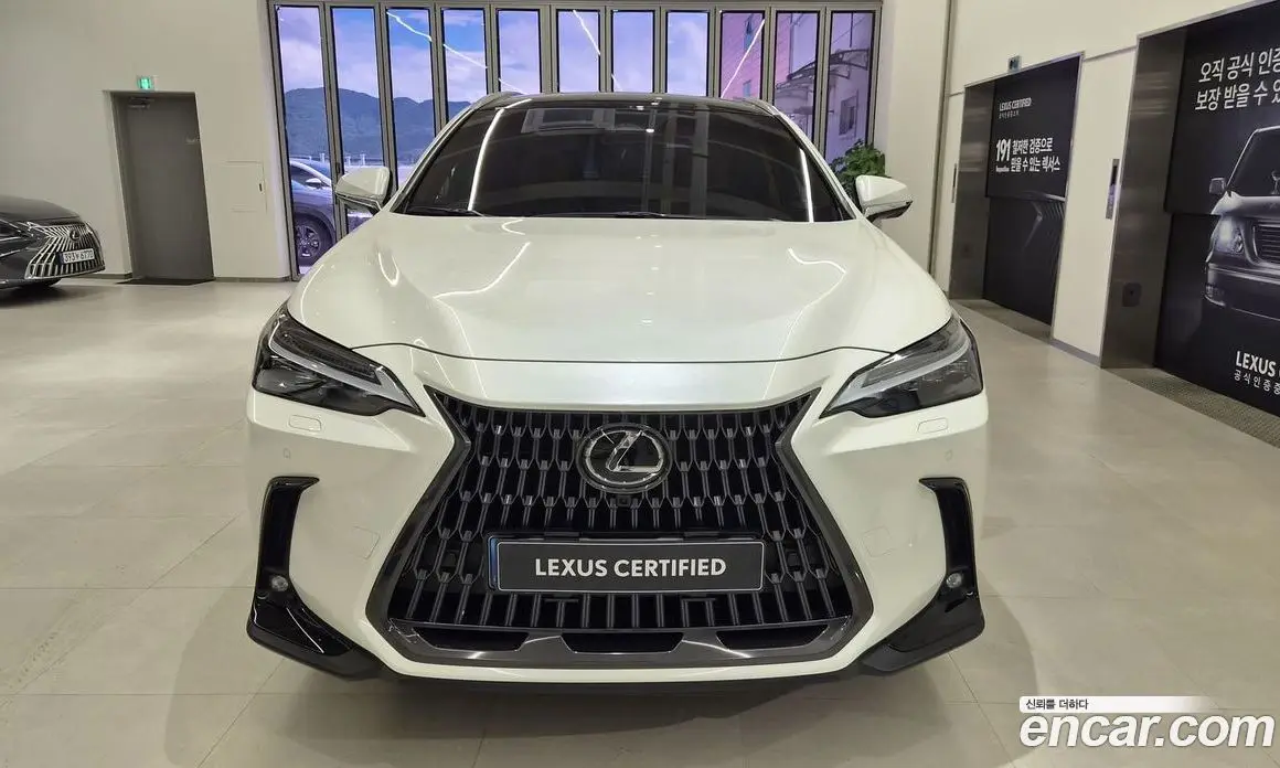Lexus NX 2025 2.5 автомат (вариатор), фото 3