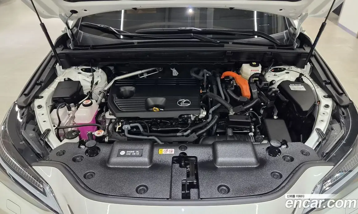 Lexus NX 2025 2.5 автомат (вариатор), фото 6