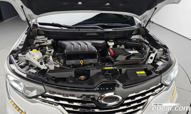 Renault (Samsung) QM6 2019 2.0 автомат (гидро), миниатюра 5