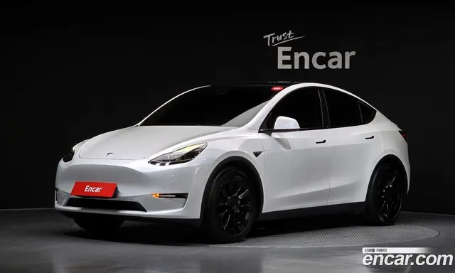 Tesla Model Y 2021 0.2 автомат (гидро), миниатюра 1
