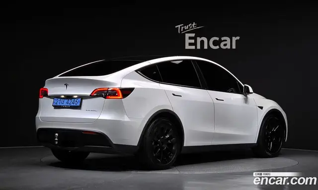 Tesla Model Y 2021 0.2 автомат (гидро), миниатюра 2