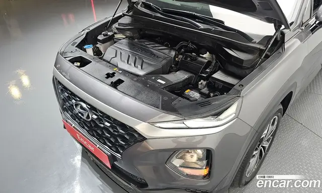 Hyundai Santa Fe 2019 2.0 автомат (гидро), миниатюра 6