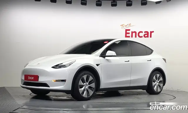 Tesla Model Y 2021 0.2 автомат (гидро), миниатюра 1