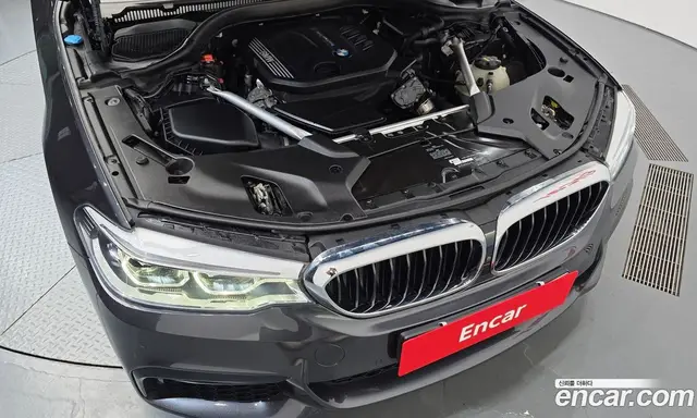 BMW 5 серия 2019 2.0 автомат (гидро), миниатюра 6
