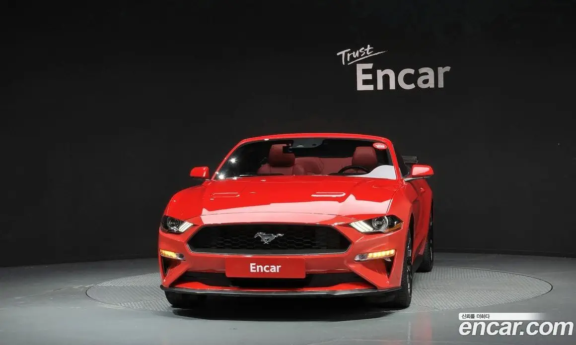 Ford Mustang 2019 2.3 автомат (гидро), фото 3 Ford Mustang 2019 2.3 автомат (гидро), фото 3