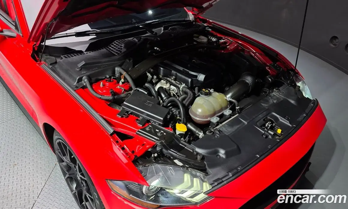 Ford Mustang 2019 2.3 автомат (гидро), фото 6 Ford Mustang 2019 2.3 автомат (гидро), фото 6