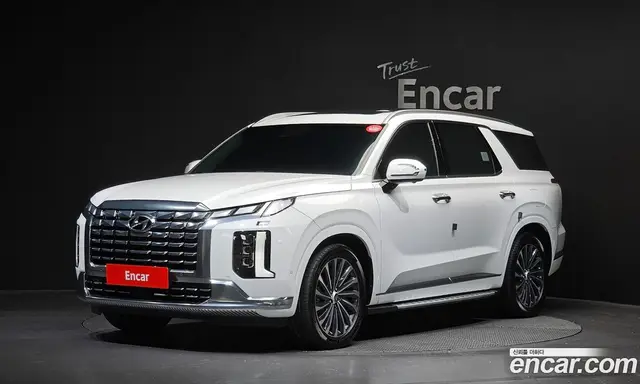 Hyundai Palisade, 2023, 30 696 км