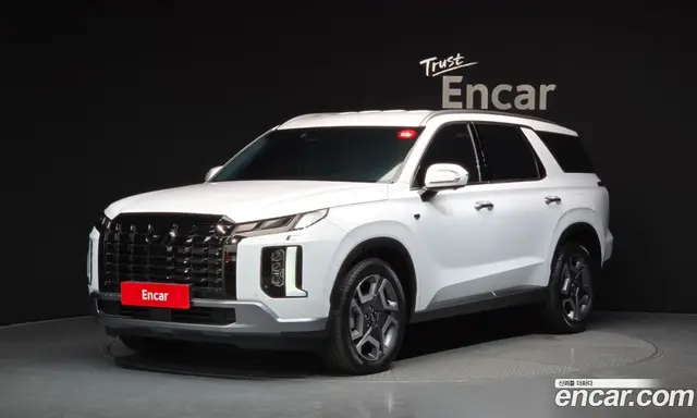 Hyundai Palisade, 2024, 19 799 км