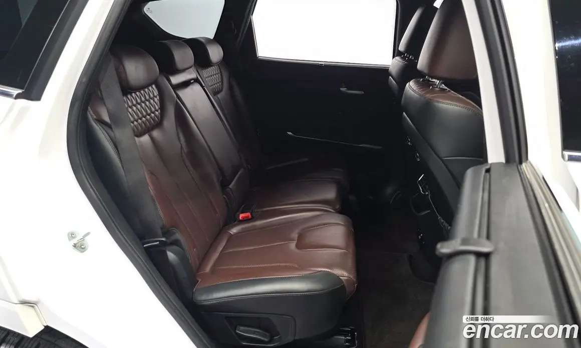 Hyundai Santa Fe 2019 2.0 автомат (гидро), фото 17 Hyundai Santa Fe 2019 2.0 автомат (гидро), фото 17