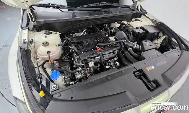 Kia Sportage 2021 1.6 автомат (гидро), миниатюра 6 Kia Sportage 2021 1.6 автомат (гидро), миниатюра 6
