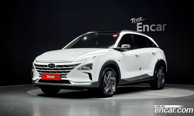 Hyundai Nexo, 2020, 17 843 км