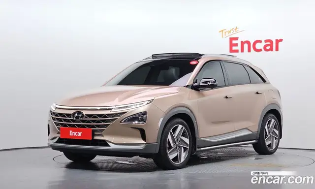 Hyundai Nexo, 2021, 48 136 км