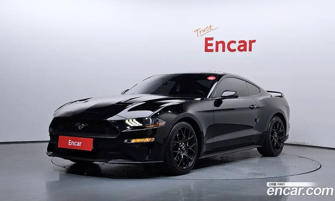 Ford Mustang 2021 2.3 автомат (гидро), фото 1 Ford Mustang 2021 2.3 автомат (гидро), фото 1