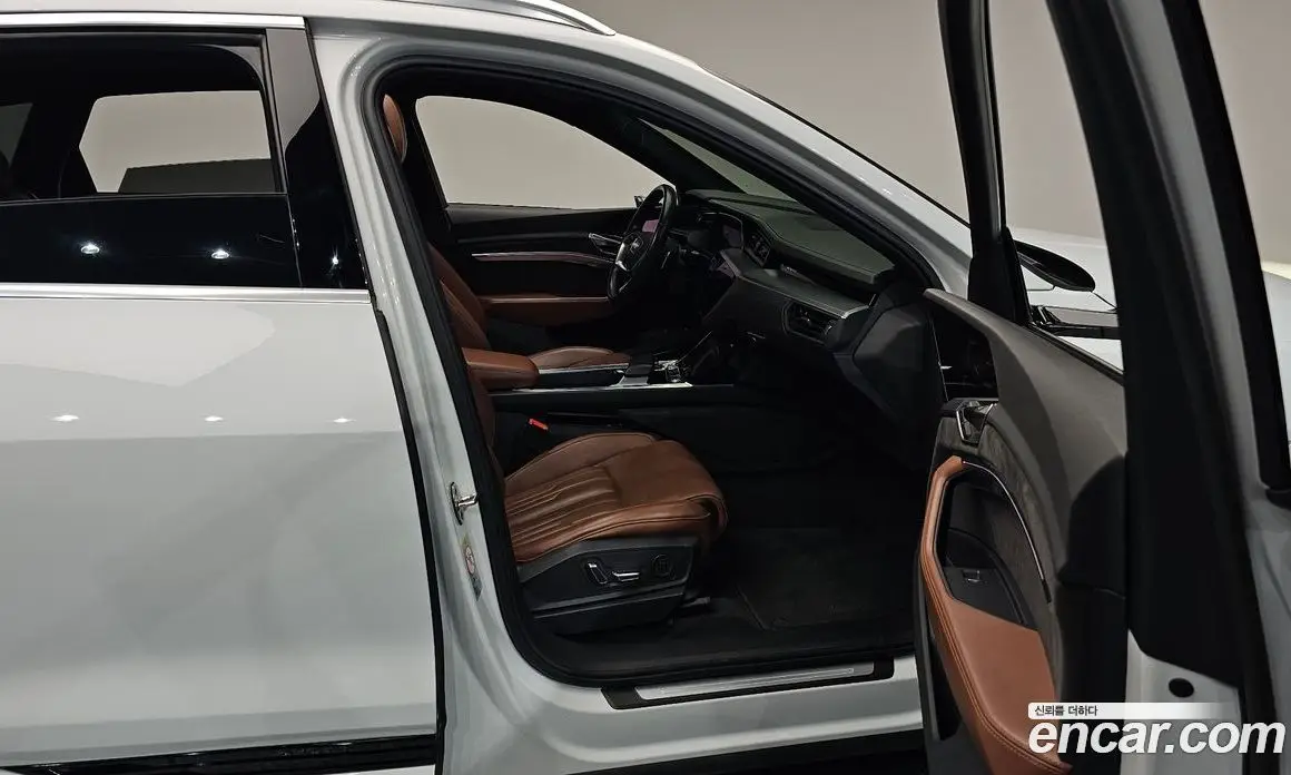 Audi e-tron 2020 0.2 автомат (гидро), фото 15 Audi e-tron 2020 0.2 автомат (гидро), фото 15