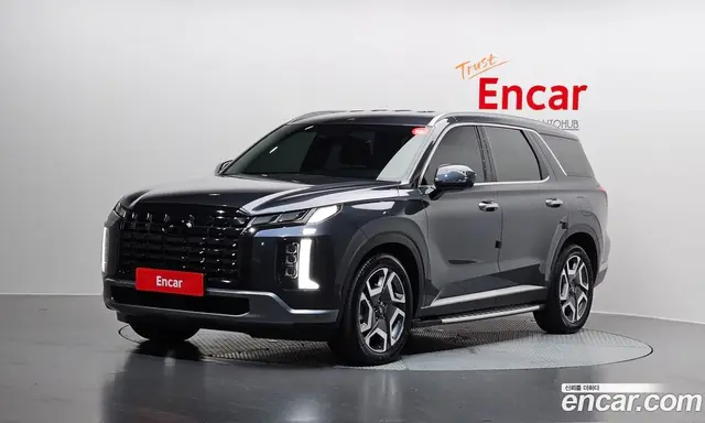 Hyundai Palisade, 2024, 25 286 км