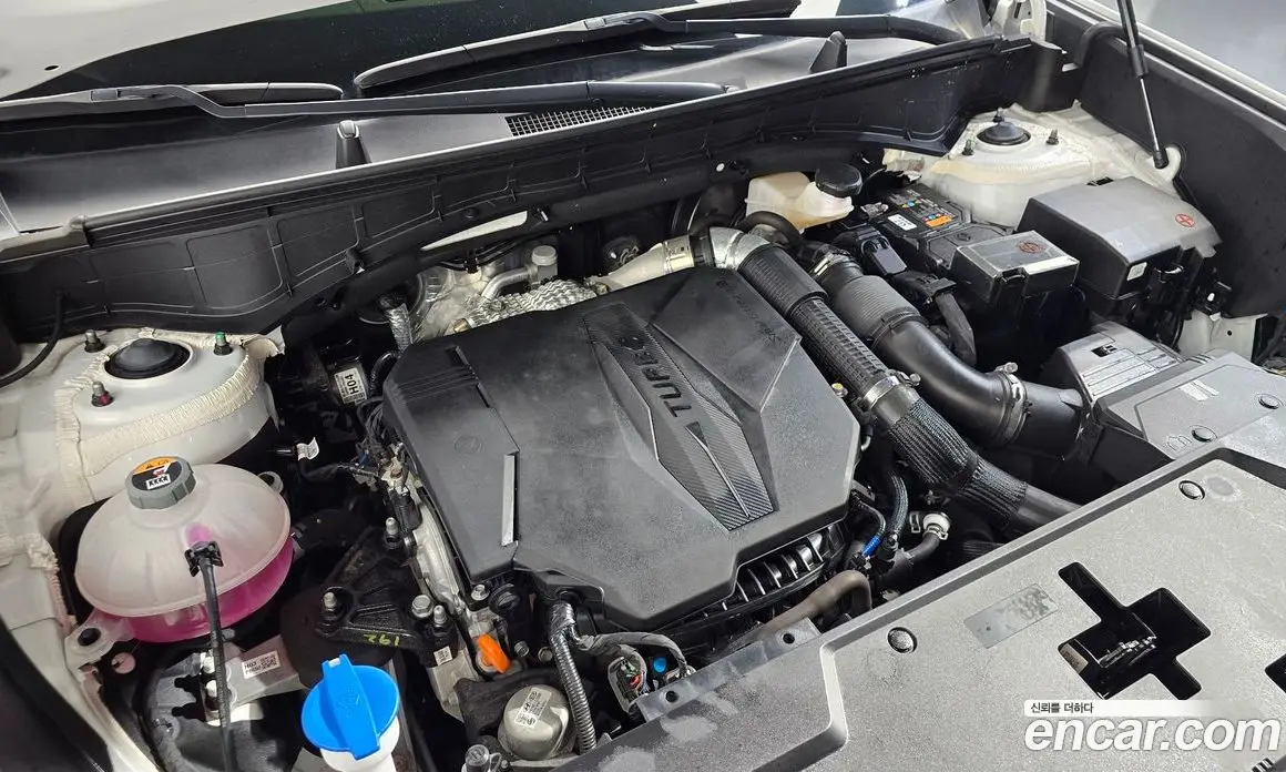 Hyundai Santa Fe 2023 2.5 автомат (гидро), фото 5