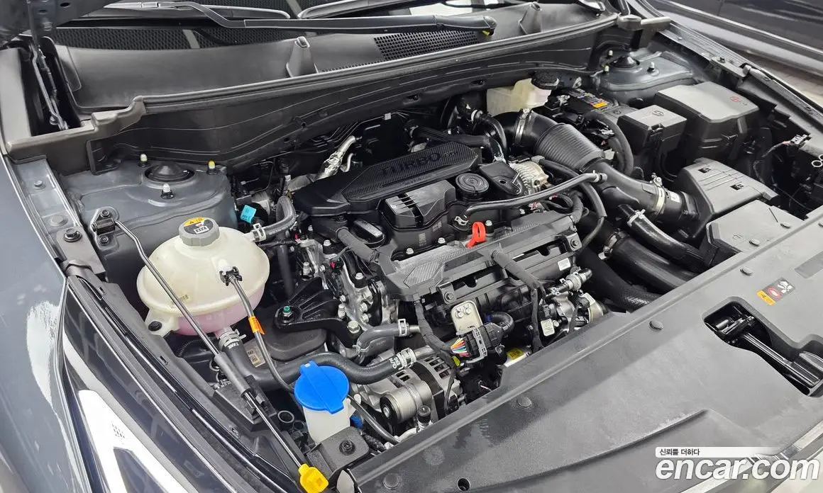 Kia Sportage 2026 1.6 автомат (гидро), фото 6