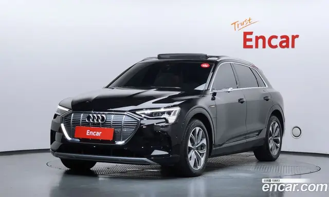 Audi e-tron, 2023, 13 356 км