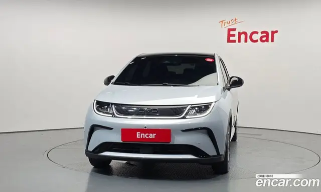 BYD Dolphin 2026 0.1 автомат (гидро), миниатюра 3
