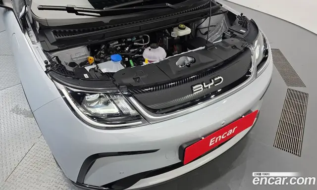 BYD Dolphin 2026 0.1 автомат (гидро), миниатюра 6